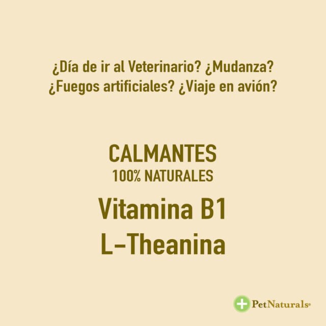 Calmantes para Gatos - Image 3