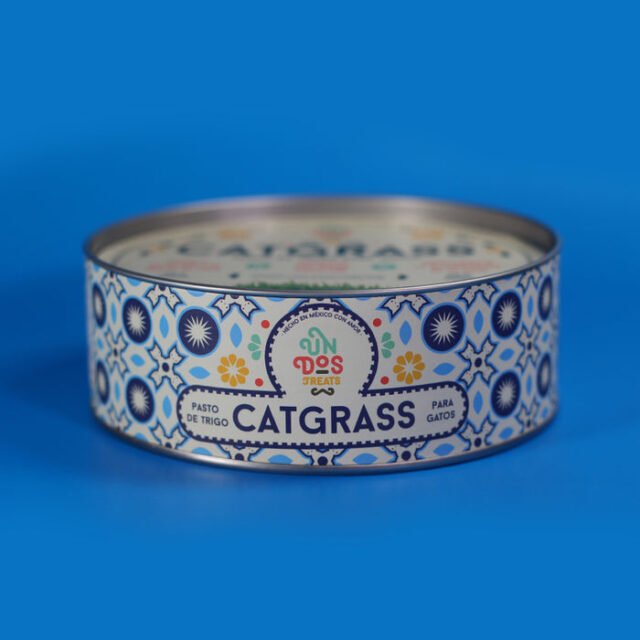 Catgrass de Trigo, Pasto para Gato - Image 3