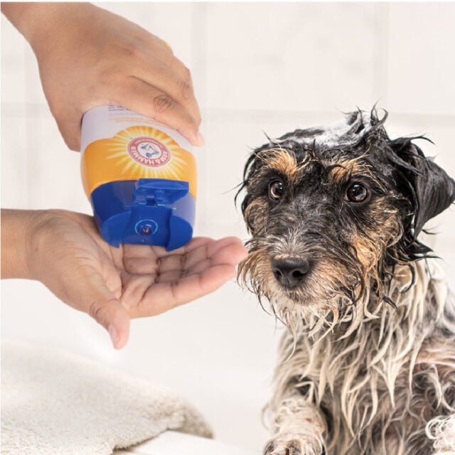 Shampoo para Perro Control de Olores Aroma Kiwi Blossom - Image 4