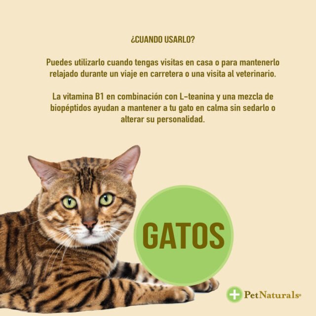 Calmantes para Gatos - Image 4