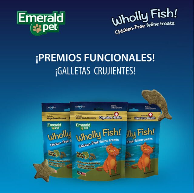 EmeralPetHollyFishMesadetrabajo1copia3