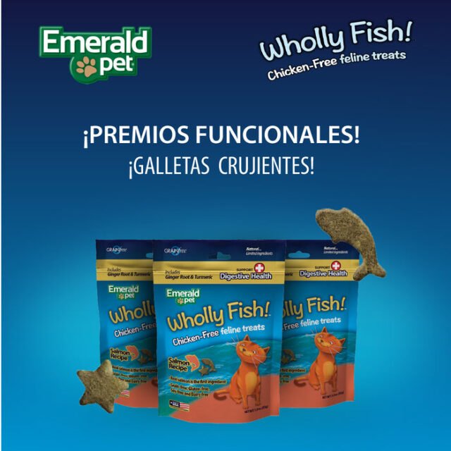 EmeralPetHollyFishMesadetrabajo1copia8