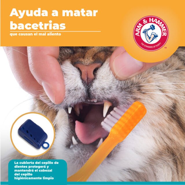 Kit Pasta Dental con Cepillo para Gato Sabor Atún - Image 3